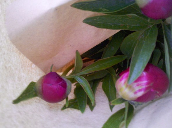 Wer Termine verbaselt, kann ja mal Blumen mitbringen.
